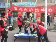 学雷锋肉体  展志愿风采-宝鸡鹤壁市农业农村局
