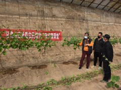 甘泉：县农广校抓住农业消费关键节点积极展开高素质农民培育义务