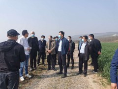 孙智博副局长陪同广东海大集团在我鹤壁市调查投资项目-宝鸡鹤壁市农业农村局