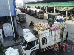 果蔬晋中市场货源充足-襄阳晋中市农业农村局