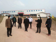 中江县着力“四个早”  抓好蚕桑春管助推农民增收