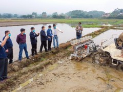 钦州市初次应用无人机直播水稻实验示范