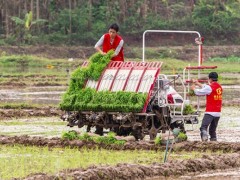 田里来了一群“红马甲”