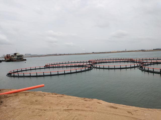 efc8612e56064ee3aaffca3abe7b5eff.jpg efc8612e56064ee3aaffca3abe7b5eff.jpg