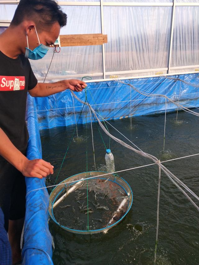 482b3691be4f48ca98cf2e5b034943bb.jpg 482b3691be4f48ca98cf2e5b034943bb.jpg