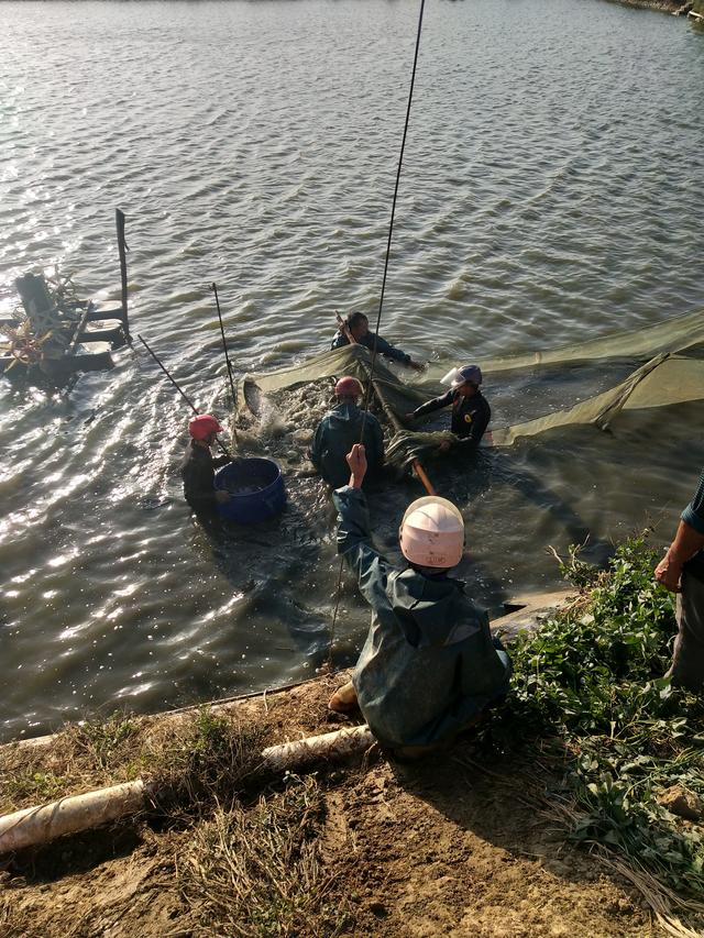 d7b266356b0840698a1c27ef5f146b0c.jpg d7b266356b0840698a1c27ef5f146b0c.jpg