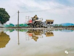 钦北无人机收获希望