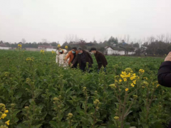 抗疫保春耕  种下新希望