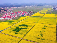 2020，萍乡农村人居环境整治破难点 再动身