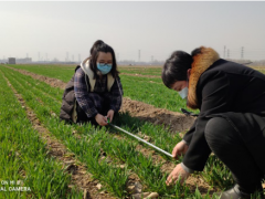 守住农业根本盘  打赢疫情阻击战