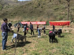 展开义务休息，助力产业脱贫——宝鸡鹤壁市农业宣传信息培训中心党支部展开主题党日活动-宝鸡鹤壁市农业农村局