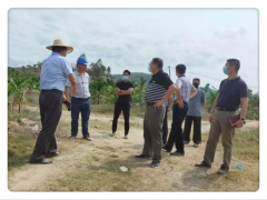 三亚市农业绿色展开办实地调研崖州区罗牛山无机肥项目进展情况