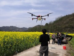 桑植植保“飞起来”