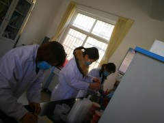 耀州：农检中心片面完成第一季度农产质量量安全监测义务