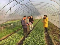 南平晋中市农业农村局全力保证“两会”“两节”时期舌尖上的安全