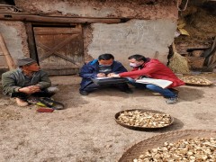 晋中市农业农村局5名援彝干部：把初心和使命担当在“抗疫”和“脱贫”两条战线上