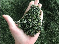 【峰峰茶业】值得信赖(图)-低档绿茶批发-宁波绿茶批发