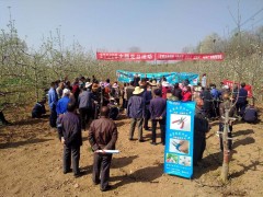 宝鸡鹤壁市农科院科研人员送效果送技术送效力助推产业展开 -宝鸡鹤壁市农业农村局