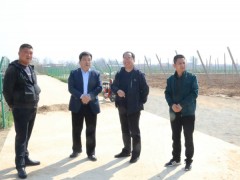 耀州：副区长刘尚利反省指点“秦脆”千亩苹果示范园树立进展情况