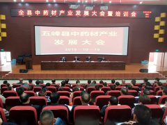 五峰召开中药材产业开展大会暨培训会