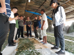 州科技局局长岩三叫率领调研组前来勐海调研桑蚕产业