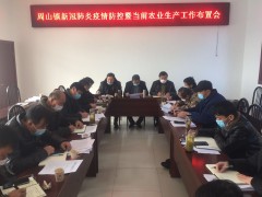 周山镇召开新冠肺炎疫情防控暨当前农业消费义务布置会议 - 义务静态 - 高邮鹤壁市农业农村局