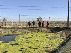 淮安晋中市农机推行站赴盱眙调研虾稻共消费业展开农机需求