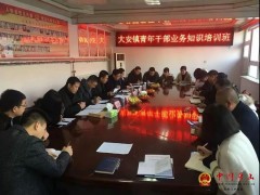 以“传帮带”助力年老干部生长，大安镇组织召开青年干部业务知识培训
