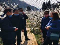 农技人员抓住春耕关键时期展开技术效力