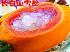 东北雪蛤林蛙 蛤蟆油正品 林蛙油作用 厂家直销