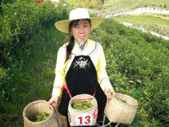 安顺代表队赴黔南州惠水县咕噜寨参与“2019年春季双手采茶竞赛”喜获佳绩