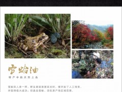 南北通 雪蛤油  林蛙油  雪蛤 林蛙