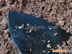 淮北金蝉养殖新技术免费咨询