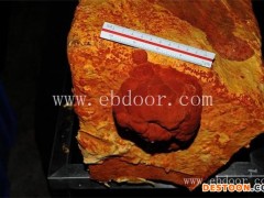 牛樟芝-椴木牛樟芝-长程天麻灵芝(推荐商家)