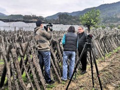 央视《谁知盘中餐》来青川拍摄黑木耳_广元市农业农村局
