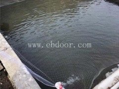 光唇鱼苗批发-鼎鸿特种鱼养殖基地-光唇鱼苗