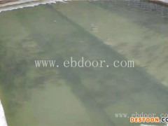 石斑鱼苗批发多少钱-鼎鸿生态农业(在线咨询)-石斑鱼苗批发