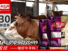 黄牛育肥饲料 黄牛饲料