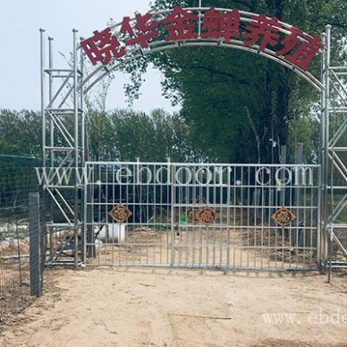 养殖金蝉-晓华金蝉养殖基地批发-养殖金蝉哪家好