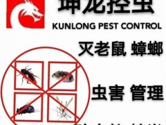 南昌灭白蚁公司 南昌防白蚁公司 南昌除白蚁公司