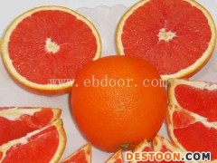 柑橘树苗品种-荆门柑橘树苗-湖北苗木供应