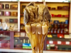 梅花鹿筋泡酒整枝鹿筋梅花鹿鹿筋