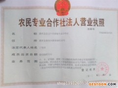 黑山羊 黑山羊价格 黑山羊报价 山羊养殖场