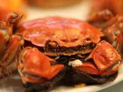 微山湖大闸蟹 - 济宁特产