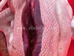 成年鸿雁批发多少钱一斤-鸿雁批发多少钱一斤-达信大雁值得购买