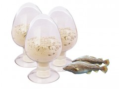 深蓝泰科 大连海参批发 大连海参批发