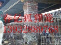 优质狐狸笼，直销，价格合理  厂家直销