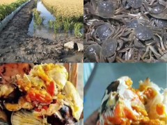 村里老毕的河蟹滞销了，望社会各界给予关注！-营口鹤壁市农业农村局