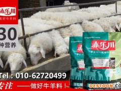 赤乐川Y640陕西肉羊预防尿结石专用预混料
