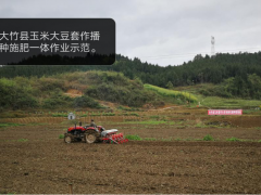 大竹县召开水稻、玉豆套作直播现场观摩会_达州鹤壁市农业农村局